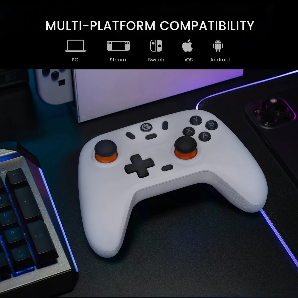 Random GameSir T4 Nova Lite Controller